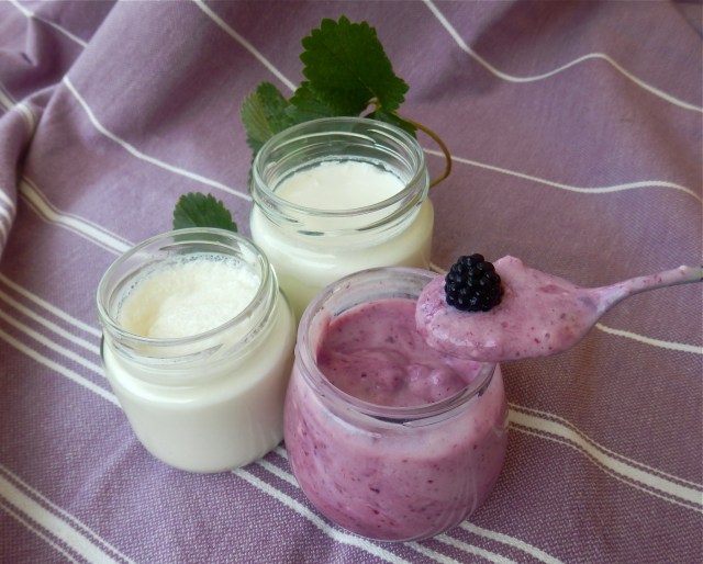 Yogures naturales y de moras