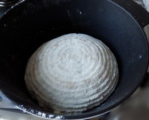 Introducir la masa en la cazuela