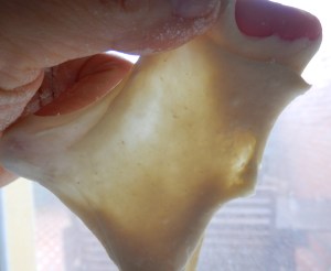 Prueba de la ventana