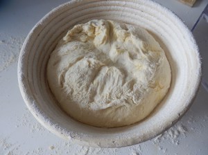 Listo para fermentar de nuevo