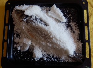 Quebrando la capa de sal