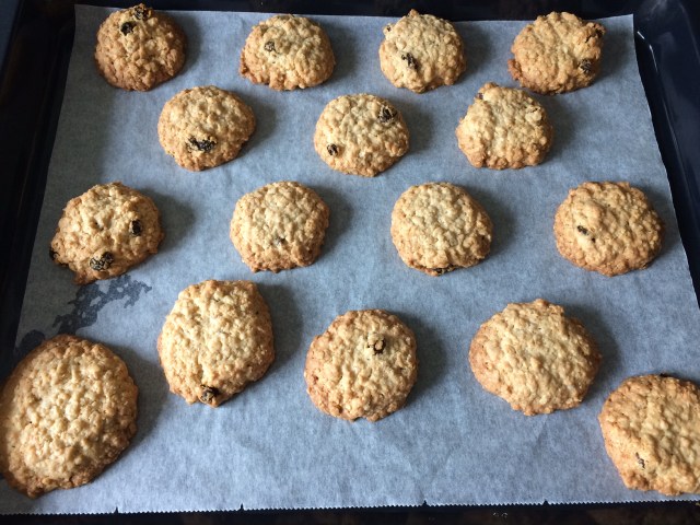 Galletas de avena recién horneadas