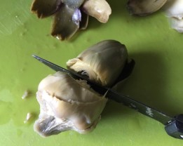 Corazón de alcachofa