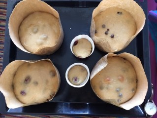 16 horas fermentando