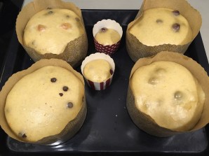 28 horas fermentando