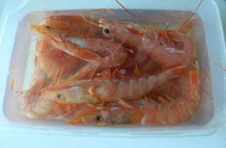 Descongelando gambones